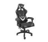 Fury Gaming Chair Avenger L Black-White