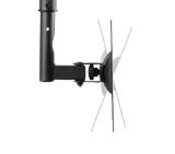 Neomounts Flat Screen Ceiling Mount (Height: 60-85 cm)