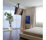 Neomounts Flat Screen Ceiling Mount (Height: 60-85 cm)
