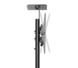 Neomounts Mobile Flat Screen Floor Stand (height: 155-170 cm)