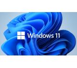 Microsoft Windows 11 Pro for Wrkstns 64Bit English 1pk DSP OEI DVD