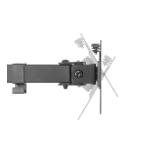 Neomounts Flat Screen Desk Mount (stand) for 3 screens