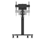Neomounts Select Mobile Display Floor Stand (37-75") 10 cm. Wheels, Black
