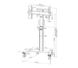 Neomounts Select Mobile Display Floor Stand (37-75") 10 cm. Wheels, Black