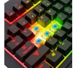 Thermaltake Premuim X1 RGB Mechanical RGB Blue Switch