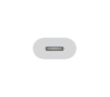 Apple Lightning to USB Cable