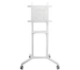 Neomounts Mobile Flat Screen Floor Stand (height: 160 cm)