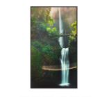 Hisense Digital Signage 55" Window Facing; 24/7,DLED, 4000 nit, 4K UHD (3840 x 2160), 1200:1, 60Hz, Android 11, Auto Brightness control, WiFi, LAN, 10W x 2, Built-in VisionInfo, Black