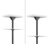 Neomounts Flat Screen Ceiling Mount (Height: 106-156 cm)