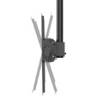 Neomounts Flat Screen Ceiling Mount (Height: 250-300 cm)