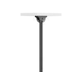 Neomounts Flat Screen Ceiling Mount (Height: 250-300 cm)