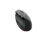 Acer Smart Fit Wireless Mouse, RF 2.4 GHz dongle, Bluetooth 5.0, Wired , 10 Buttons, DPI 8000, 90g , Black with RGB strip