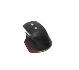 Acer Easy Fit Wireless Mouse,RF 2.4 GHz dongle, Bluetooth 5.0, Wired, 6 buttons, DPI 4000, 122 g, Black with RGB strip