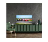 Thomson Smart QLED Pro TV 50"; Google TV; 3840 x 2160 (4K UHD), DLED, 144 Hz, DVB-T/T2/C/S/S2, HDR10, Wi-Fi, Bluetooth, LAN, HDMI 4 (2.1), USB 2 (2.0) + 1 (3.0), Central Swivel Stand, Black