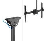 Neomounts Flat Screen Ceiling Mount (Height: 106-156 cm)