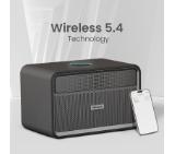 HiFuture Passion X Black, 100W Output (Max.Power), Built-in Powerful DSP with DynaBoost Technology, Crafted Wood Cabin, Wireless 5.4, Two-Way Full Range Speaker System, Built-in 8000mAh High-Performance Battery System, Pair to Stereo Sound System(TWS Mod