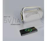 HiFuture MusicBox100 Silver, 20W Output, Karaoke Enable, Two Wireless Microphone, 4000mAh Battery (Support Power Bank), RGB Lighting, Pair to Play (TWS Mode), Bluetooth 5.3