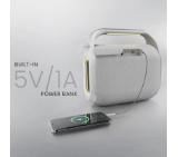 HiFuture MusicBox200 Silver, 100W Output, Karaoke Enable, Two Wireless Microphone, 12000mAh Battery (Support Power Bank), RGB Lighting, Pair to Play (TWS Mode), Bluetooth 5.3