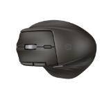 HP Ultra-Fast-Scroll Wireless Mouse 785M