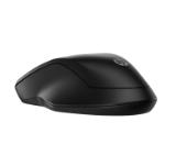 HP 255 Dual Wireless Mouse