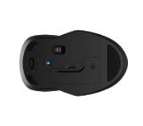 HP 255 Dual Wireless Mouse