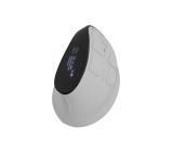 Natec Euphonie Vertical Mouse PRO Wireless  BT 5.0, 4000DPI Silent, Programmable, White
