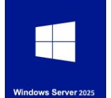 Lenovo Windows Server 2025 Remote Desktop Services Client Access License (50 Device)