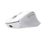 TRUST Niven Comfort Multi-Wireless Mouse White