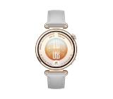 Huawei Watch GT 7  Konsu-B39L Grey Composite Leather + Huawei Freebuds SE 4 ANC, White